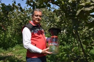 Ege, Marmara ve Karadeniz’de Bu 3 Yöntemle Kokarcaların Kökünü Kazıyın